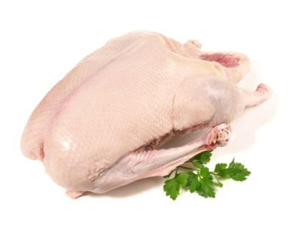 Produktfoto zu Gans 4 - 5,5 kg