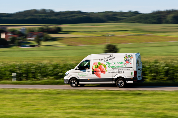 KI generiert: Das Bild zeigt mehrere junge Keimlinge, die in Erde gepflanzt sind. Der Hauptinhalt des Bildes ist das frische Wachstum der Pflanzen.