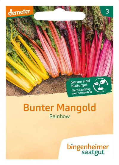 Produktfoto zu Saatgut, Mangold bunt