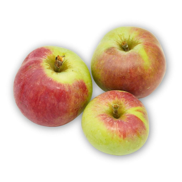 Produktfoto zu Früh-Äpfel Jakob Fischer (feinsäuerlich)