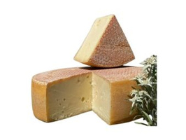 KI generiert: Ein Käselaib und ein Stück Käse vor weißem Hintergrund, daneben ein paar Blüten.