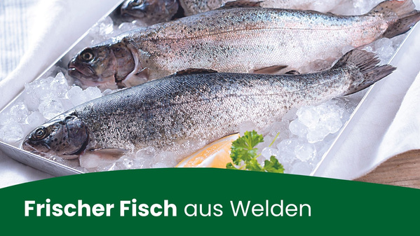 Kürbis-Vielfalt