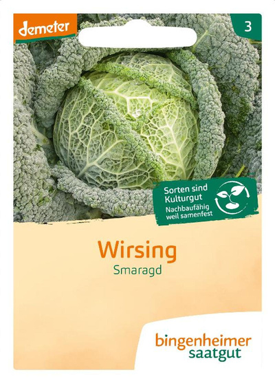 Produktfoto zu Saatgut, Wirsing Smaragd