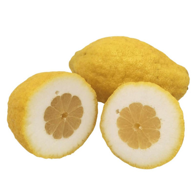 Produktfoto zu Cedro (Zitronatzitrone)