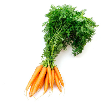 Produktfoto zu Bund Karotten
