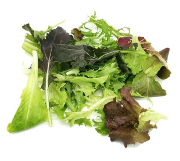 Produktfoto zu Schnittsalat bunt