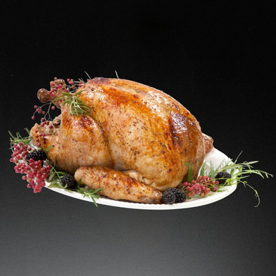 Produktfoto zu Pute groß 8 - 9 kg