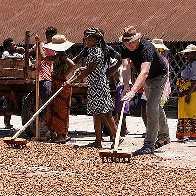 KI generiert: Menschen rechen Kakao auf einer großen Fläche und arbeiten zusammen.