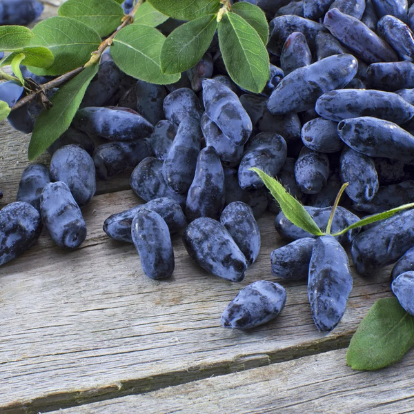 KI generiert: Blaue Beeren mit grünen Blättern auf einem Holztisch.