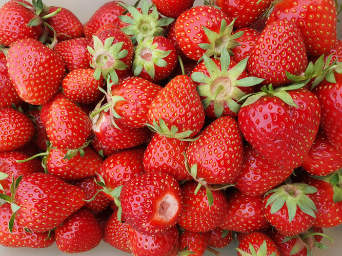 KI generiert: Frische, rote Erdbeeren mit grünen Kelchblättern in Nahaufnahme.