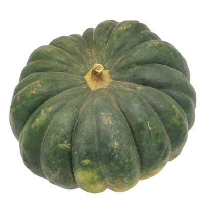 Produktfoto zu Kürbis Muskat Stk.