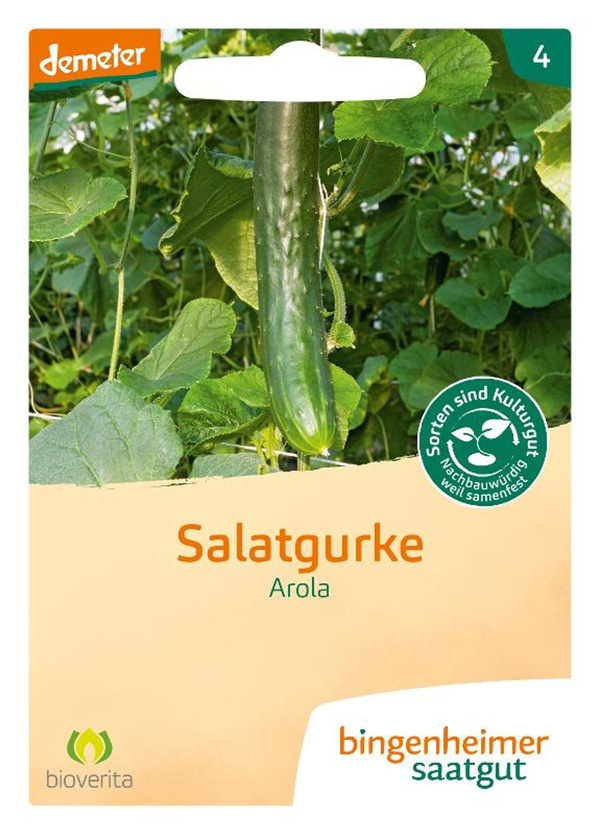 Produktfoto zu Saatgut, Salatgurke Arola