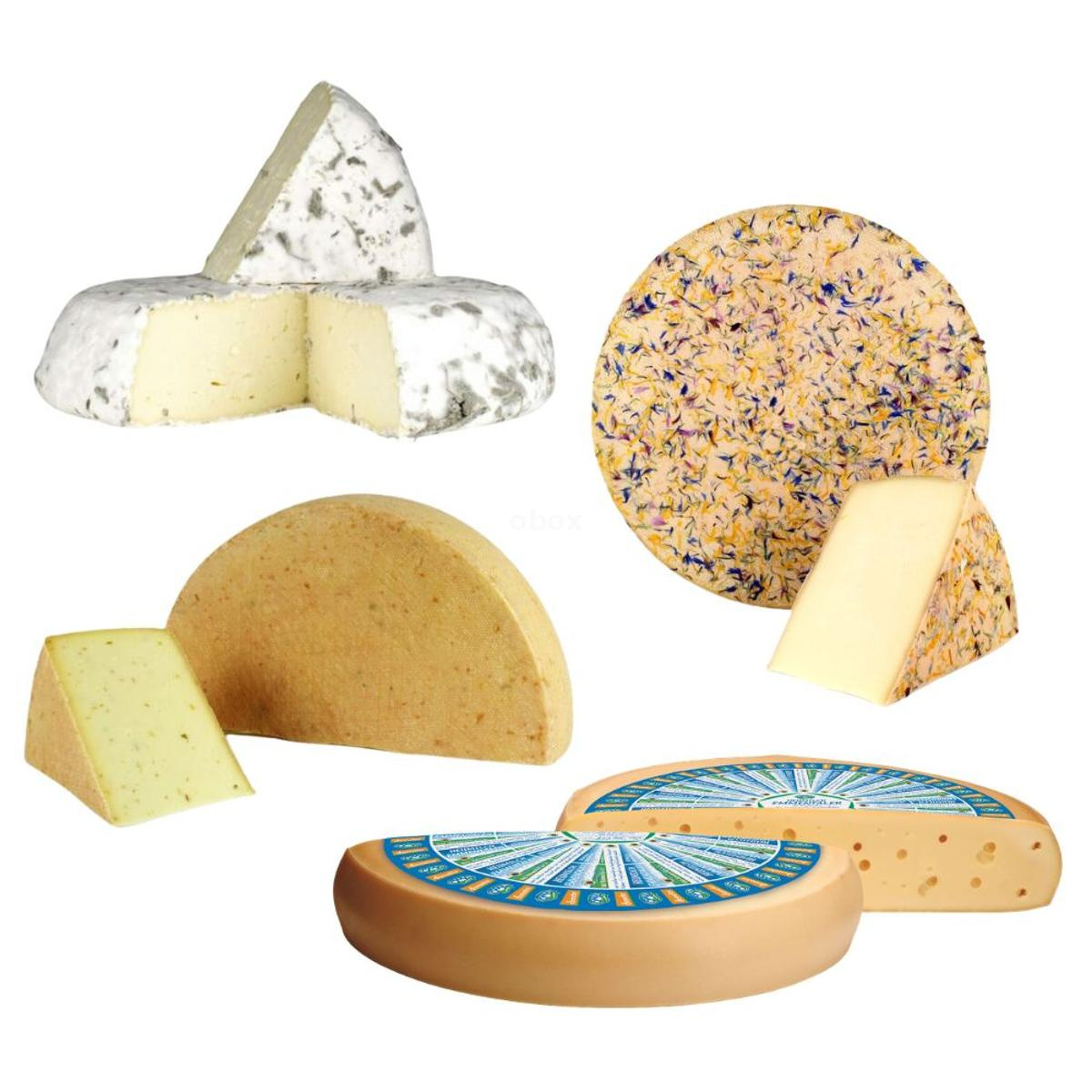 Tour de Kas KW 20 Blütenwoche