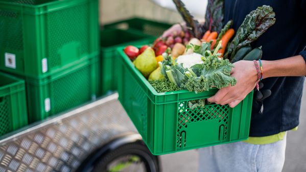 KI generiert: Eine Person hält eine Kiste mit frischem Gemüse und Obst.