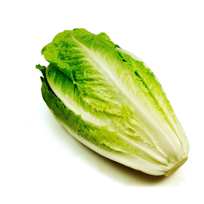 Produktfoto zu Mini-Romana Salat