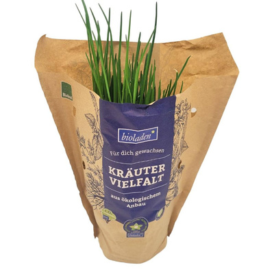 Produktfoto zu Schnittlauch Topf