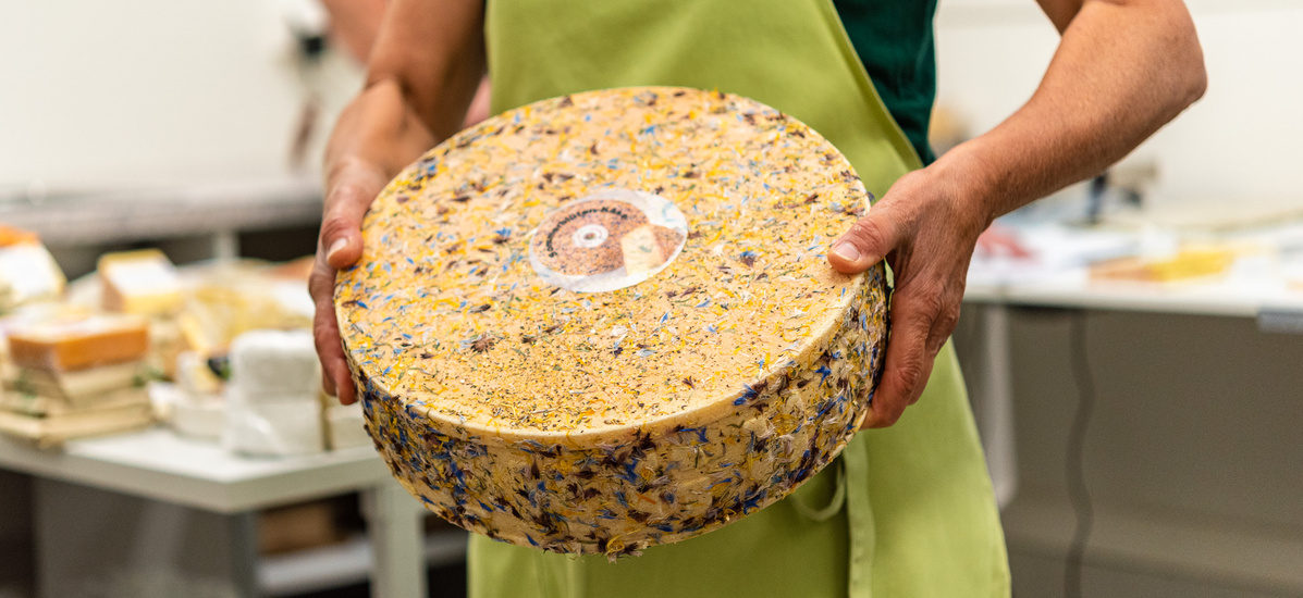 KI generiert: Das Bild zeigt ein hölzernes Brett mit einer Auswahl an verschiedenen Käsesorten, Trauben, Nüssen und Baguettescheiben. Daneben stehen zwei Weingläser, eines davon mit Rotwein gefüllt.