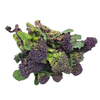 Produktfoto zu Sprossen Brokkoli violett im Bund 200g