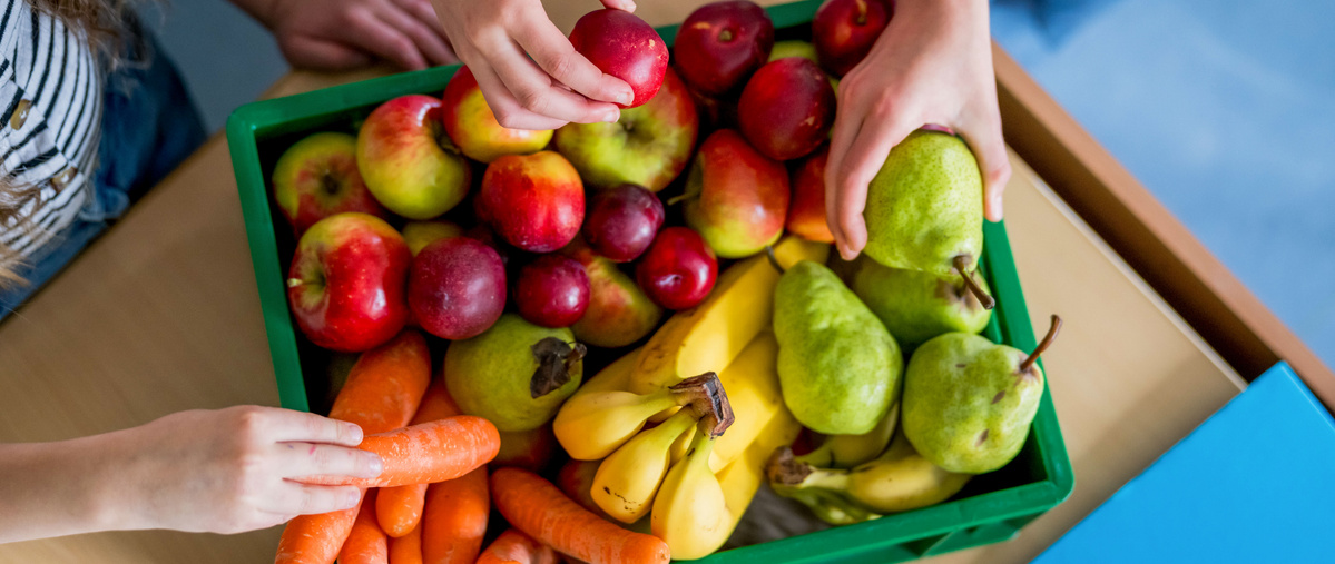 KI generiert: Eine Kiste mit Obst und Gemüse, darunter Äpfel, Birnen, Bananen und Karotten, wird von Händen gehalten.
