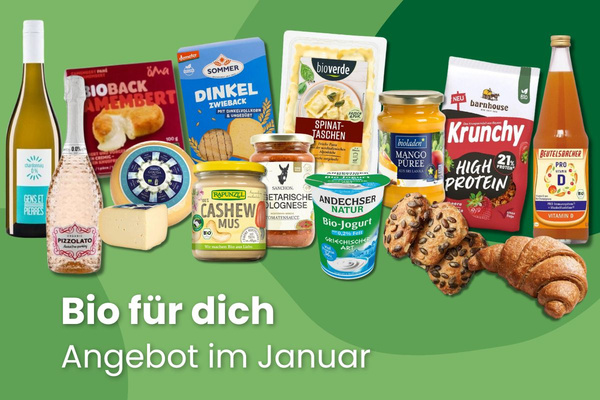 KI generiert: Das Bild zeigt mehrere junge Keimlinge, die in Erde gepflanzt sind. Der Hauptinhalt des Bildes ist das frische Wachstum der Pflanzen.