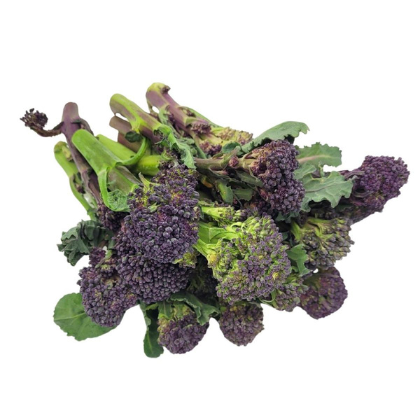 Produktfoto zu Sprossen Brokkoli violett im Bund 200g
