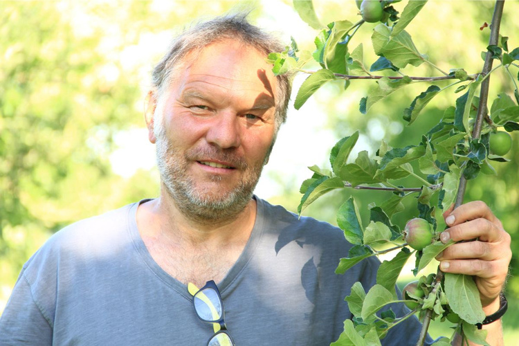 KI generiert: Ein Mann hält einen Ast mit grünen Blättern und kleinen Äpfeln.