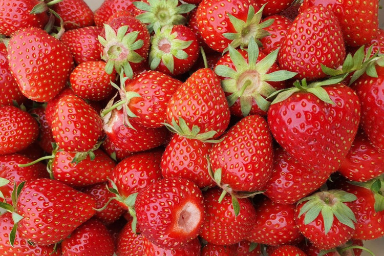KI generiert: Viele frische Erdbeeren in Nahaufnahme.