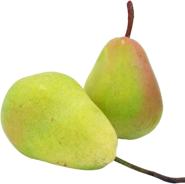 Produktfoto zu Birne  Guyot