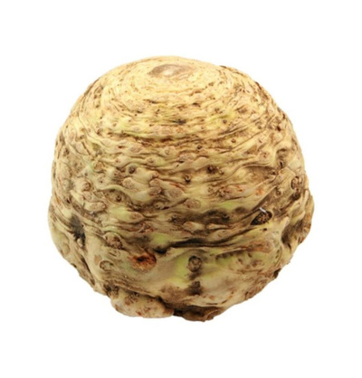 Produktfoto zu Sellerie