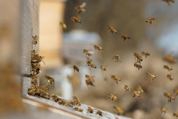 KI generiert: Das Bild bewirbt das 30-jährige Jubiläum eines Unternehmens und bietet die Chance, 30 Mal 3 Gewürzmischungen zu gewinnen. Es zeigt zudem eine Speise als Anregung, mit den bereitgestellten Rezepten zu kochen.