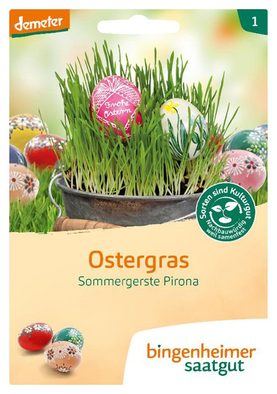 Produktfoto zu Saatgut, Ostergras 60g