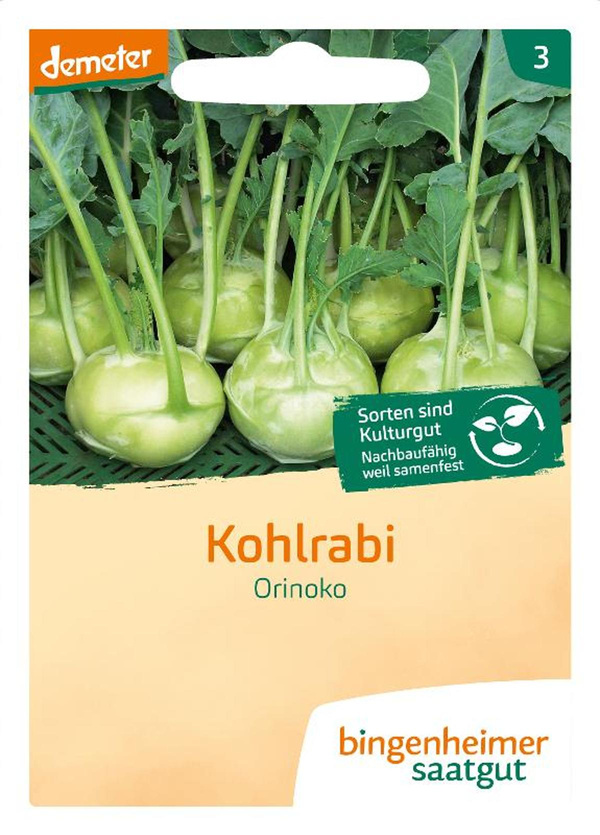 Produktfoto zu Saatgut, Kohlrabi Orinoko