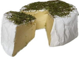 KI generiert: Käse mit weißer Rinde, ein Stück fehlt, oben mit Kräutern bestreut.