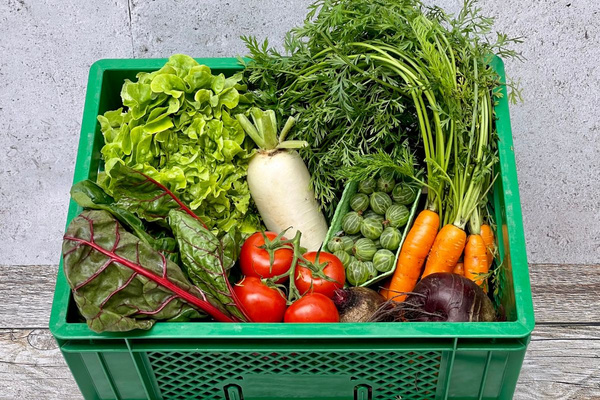 KI generiert: Das Bild zeigt zwei Personen in grüner Arbeitskleidung, die lächelnd eine Kiste mit frischem Obst und Gemüse halten. Im Hintergrund sind weitere Kisten mit Tomaten, Äpfeln und Salat zu sehen, was auf ein Lager oder eine Verkaufsstelle für frische Lebensmittel hinweist.