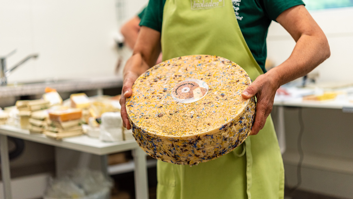 KI generiert: Das Bild zeigt ein hölzernes Brett mit einer Auswahl an verschiedenen Käsesorten, Trauben, Nüssen und Baguettescheiben. Daneben stehen zwei Weingläser, eines davon mit Rotwein gefüllt.
