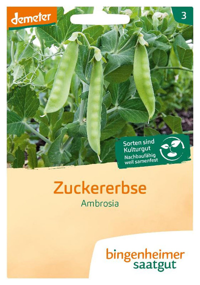 Produktfoto zu Saatgut, Zuckererbse Ambrosia