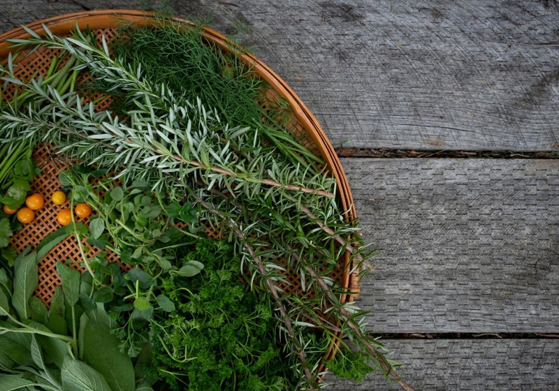 Gesundheit & Wohlbefinden