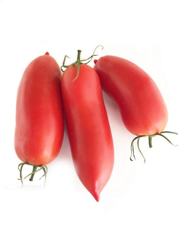 Produktfoto zu Tomate San Marzano