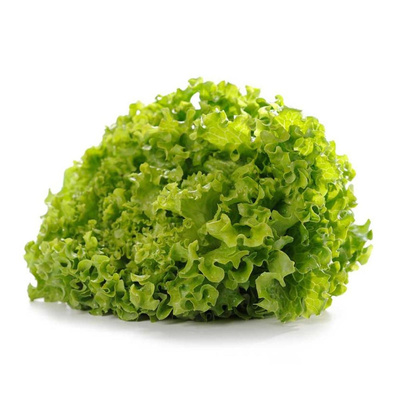 Produktfoto zu Bataviasalat grün