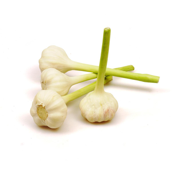 Produktfoto zu frischer Knoblauch Stk. mit Grün