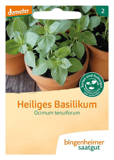 Produktfoto zu Saatgut, Heiliges Basilikum