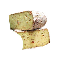 KI generiert: Ein Stapel Käsescheiben mit Kräutern und einer groben Kruste.