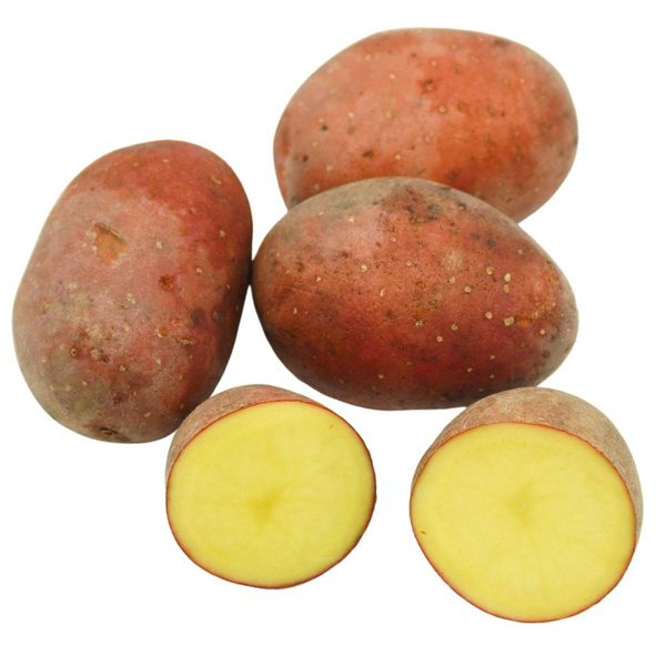Produktfoto zu Kartoffel rotschalig vorwiegend festkochend