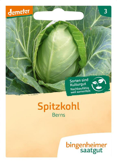 Produktfoto zu Saatgut, Spitzkohl Berns
