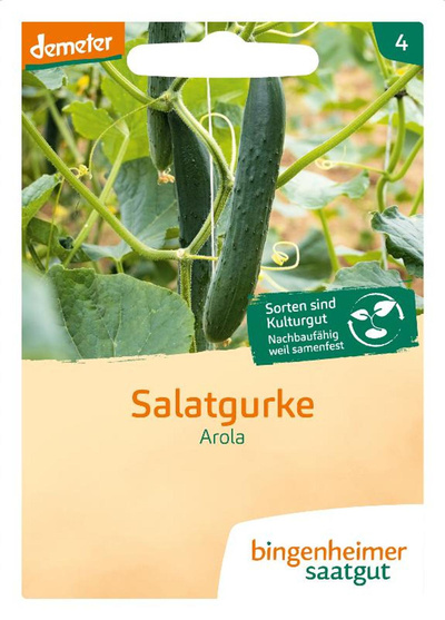 Produktfoto zu Saatgut, Salatgurke Arola