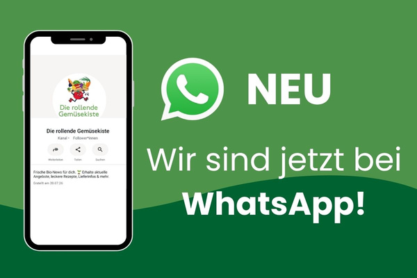 KI generiert: Das Bild zeigt mehrere junge Keimlinge, die in Erde gepflanzt sind. Der Hauptinhalt des Bildes ist das frische Wachstum der Pflanzen.