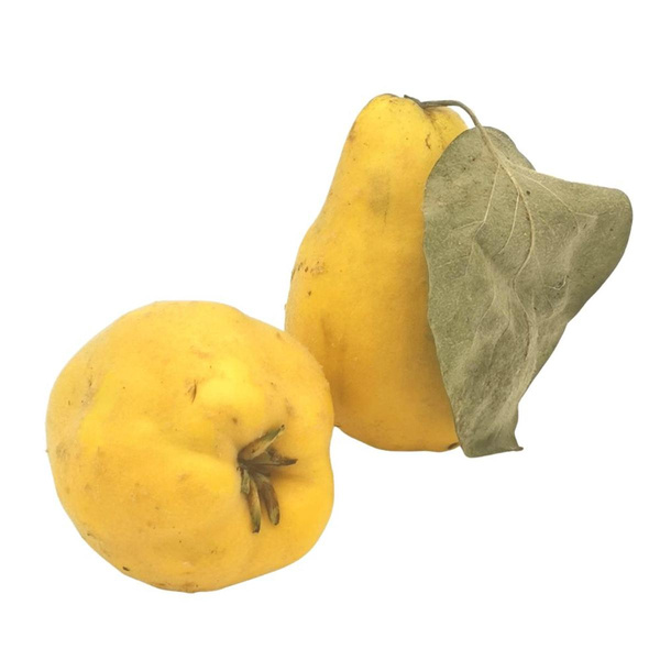 Produktfoto zu Quitten