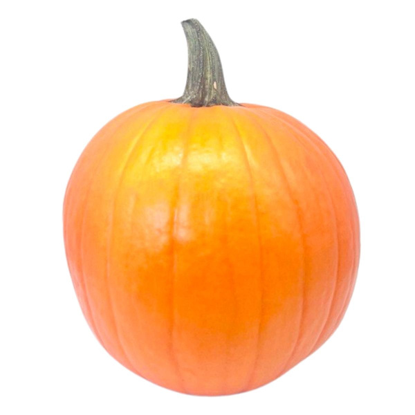 Produktfoto zu Kürbis Halloween