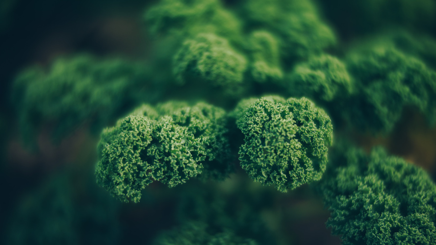 Rezeptbild für Grünkohl-Topf mit Chorizo und Röstkartoffeln