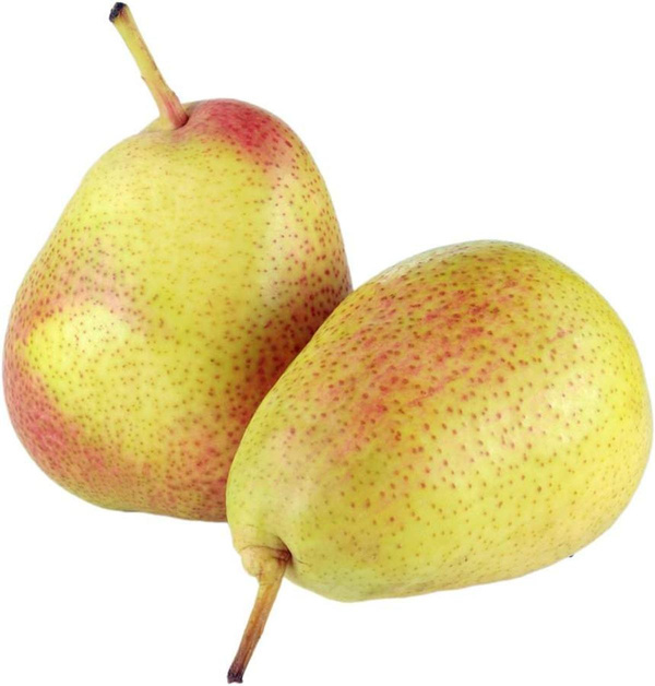 Produktfoto zu Birne  D'Anjou